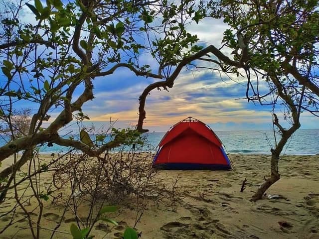 Camping Gallery Image 1