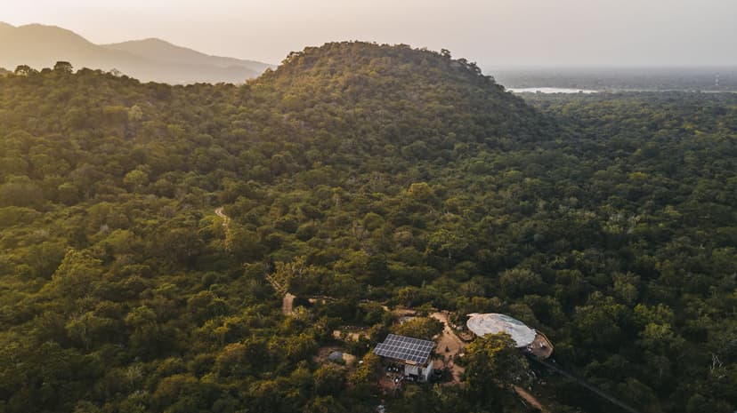 Yala buffer zone