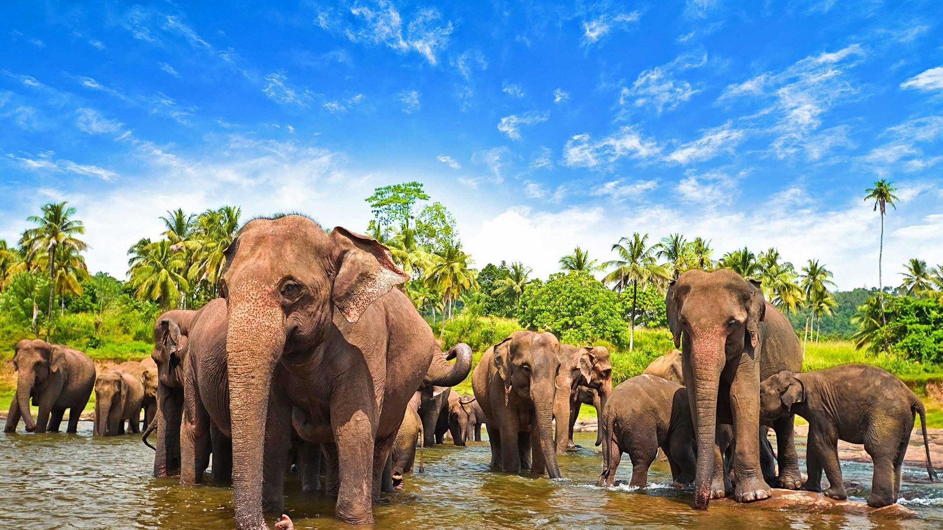 Sri Lanka Tour