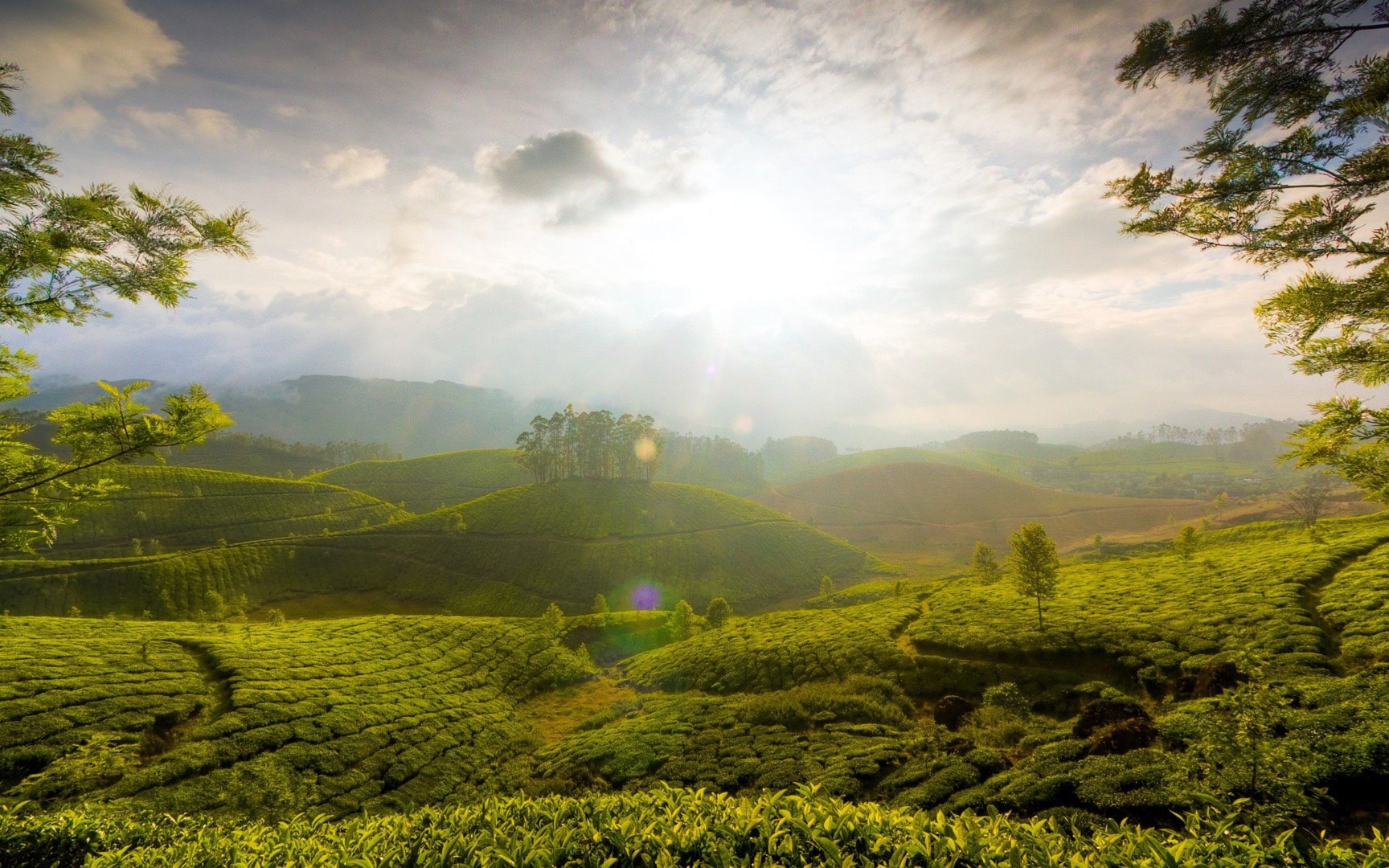 Sri Lanka Tour
